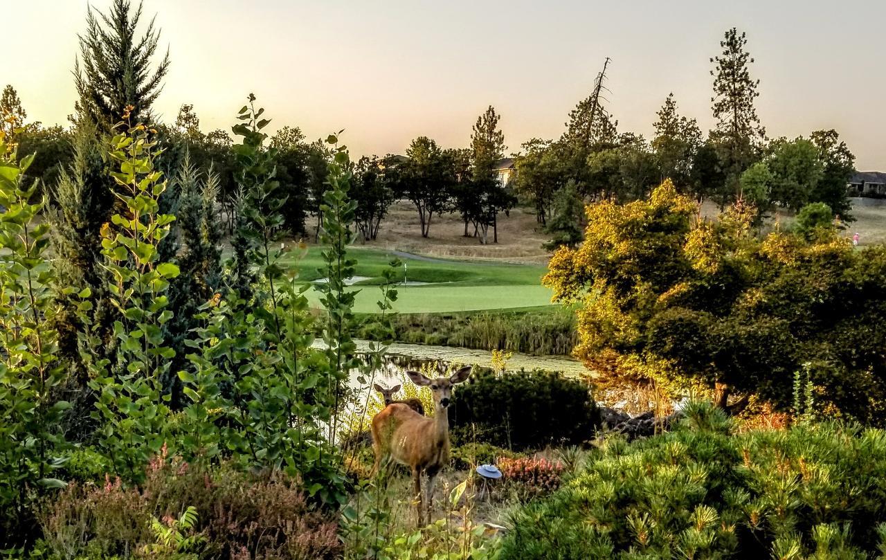 Resort At Eagle Point Golf Club Lodging Exterior photo